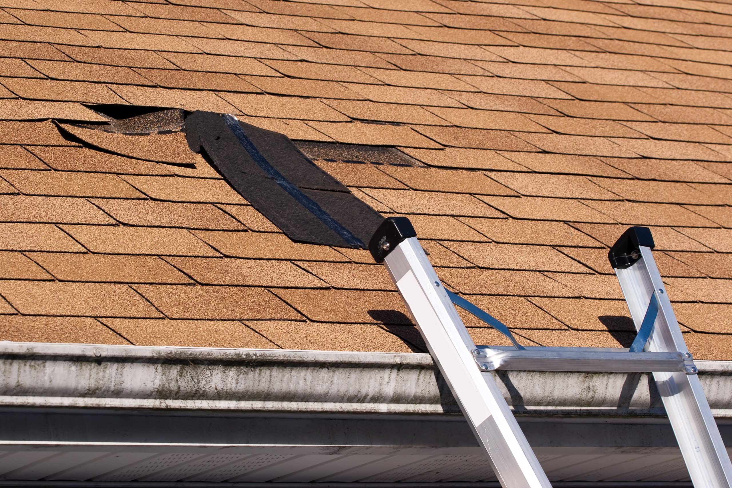 residential shingle roof in need of repair